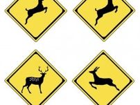 シカ、タヌキ、サル、ウサギ…“動物注意”の標識は地域によって絵柄が違う！マニアが教える道路標識の楽しみ方