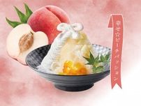 乃木會館パティシエが趣向を凝らした夏季限定のかき氷「なつ氷」が発売中！各日5杯限定の「プレミアムかき氷」も