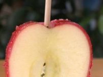【葵区・富士林檎】“りんご飴”が祭りの屋台からずいぶん「進化」していた