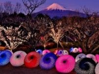 世界遺産富士山と梅・桜　お花見イベント「 まるごと岩本山」【富士】
