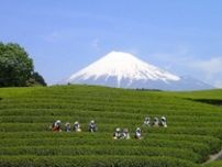 【富士・おおぶちお茶まつり】富士山・茶畑・茶娘を一度に撮影できる これぞ静岡!のイベント
