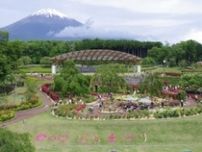 富士山と1500株のバラ　高校生が大活躍のお祭り開催【御殿場ばら祭り】