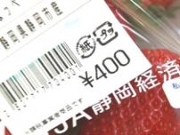 【駿河区・南部じまん市】大粒イチゴが400円  開店30分で売り切れも! 行列の先にある商品を調査