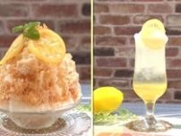 【浜名区・ニコレモンカフェ】浜名湖レモンの専門カフェで人生変わるレモンとの出会い　