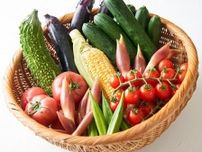 夏に旬を迎える野菜・果物は？　旬の食材カレンダー