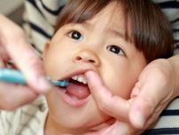 幼児の歯磨き、大変なのは…子育て〝理想と現実〟に驚き　口腔ケア「食器の共有NG」より重要なむし歯予防