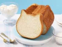 あの人気食パンから、初夏にぴったりな新商品「ねこねこ食パン　フローズンヨーグルト」が登場！【編集部の「これ、気になる！」  Vol.45】