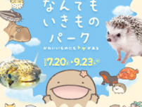 しながわ水族館×よこみぞゆり「なんでもいきもの」　 夏の特別展が7月20日から開催　 生き物たちの可愛い姿の裏に隠された“トゲ”を発見！