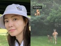 俳優クォン・サンウ＆ソン・テヨン夫妻の米国自宅、庭への来客は”鹿の親子”