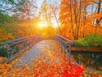 【東北】秋の眺めを楽しむ！おすすめの渓流＆滝スポット3選