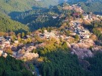 吉野観光の究極モデルコースを紹介｜2日間で巡る歴史と風景