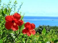 石垣島を2泊3日モデルコースで楽しもう！離島めぐりなどのおすすめ旅行プランをご紹介