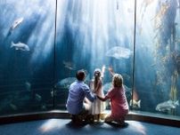 【おでかけ】名古屋港水族館の見どころを深掘り！基本情報とおすすめイベント11選