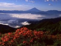 【山梨県】富士の絶景とツツジ群落が楽しめる甘利山｜基本情報と日帰り温泉