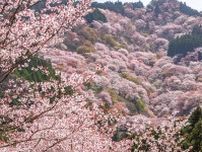 【奈良】一目千本桜！絶景の吉野山・周辺観光スポット＆グルメ6選