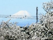 市民会館が取り壊され、富士山の眺望が復活した志木の「田子山富士塚」…市民要望で建て替え後も６ｍ低い建物に