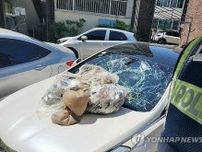 北朝鮮の「汚物風船」　乗用車破損など被害支援策議論へ＝韓国政府
