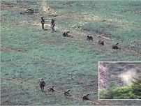 地雷爆発で北朝鮮兵が多数死傷　非武装地帯での作業中に＝韓国軍