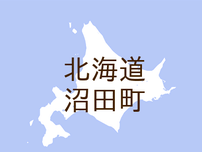 （北海道）沼田町更新でクマ出没の痕跡　６月２４日朝