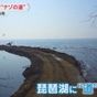 琵琶湖に謎の道 原状回復応じる意向