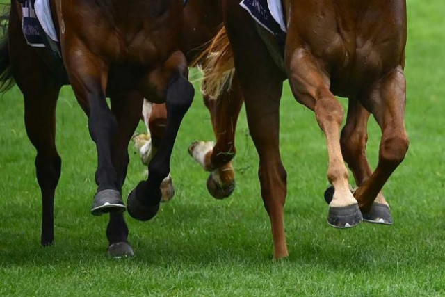 欧州競馬であわや衝突事故「危険すぎる」 コースにゲートが残ったままに…海外非難「恥ずべきこと」