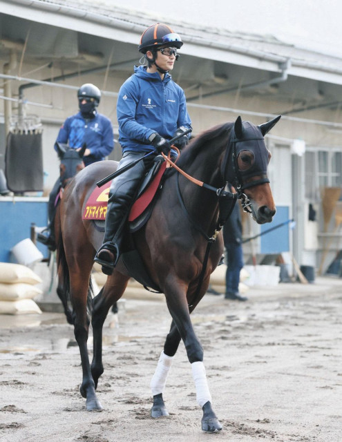 ヴィクトリアM】シランケドがG1初挑戦V狙う 陣営「三度目の