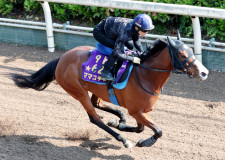 【京王杯ＳＣ】東京コース初のママコチャは３枠３番　トウシンマカオは７枠９番　枠順確定
