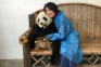 「シャンシャンは素敵なお母さんになる」日本パンダ保護協会が太鼓判。ファンも一安心