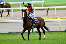 【秋華賞】チェルヴィニアは3枠5番へ