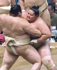 熱海富士 朔太郎 - 力士プロフィール - 日本相撲協会公式サイト