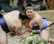 豪ノ山 力士情報｜スポーツ情報はdメニュースポーツ