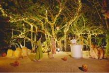 【星野リゾート リゾナーレ小浜島】幸運の木として知られるガジュマルの木を舞台に行う、幻想的なハロウィンイベント「南の島のガジュマルハロウィン」開催｜
