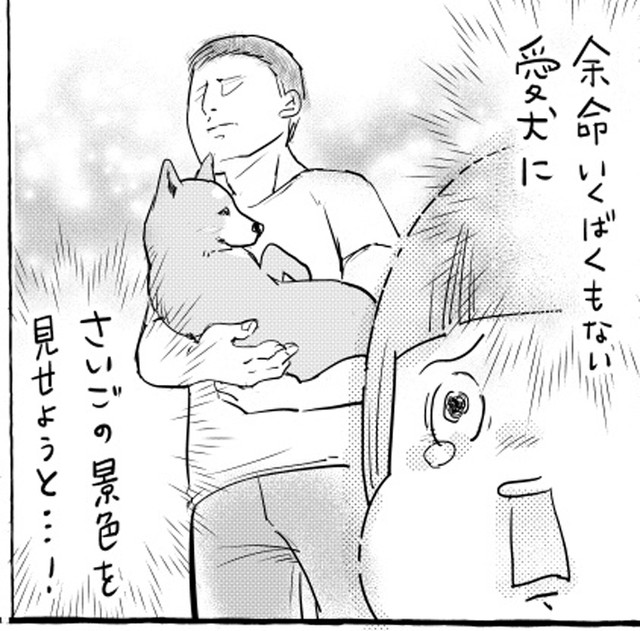 【漫画】信号待ちで抱っこされる犬…「具合悪いの！？」とドキドキしていたら「柴犬かな、柴犬だろうな」（まいどなニュース）｜ｄメニューニュース