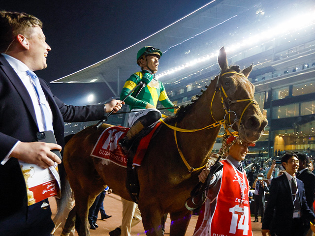 ドバイワールドカップデーにjra所属馬138頭が登録 日本馬史上初の連覇狙うウシュバテソーロなど（netkeiba）｜dメニューニュース（nttドコモ） 7874