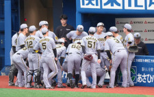 【阪神】高寺望夢が６番左翼で２戦連続先発出場　木浪聖也が20試合ぶりスタメン／スタメン一覧