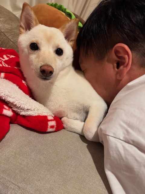 かまいたち山内のほっこり犬吸い動画が話題に