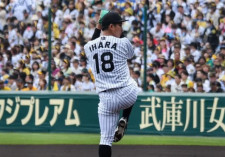 プロ野球 阪神タイガース チーム情報｜スポーツ情報はdメニュー