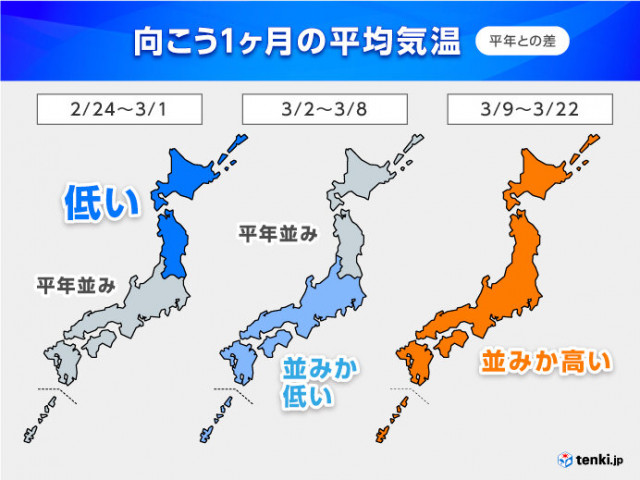 雪降る街だからこそ美しい 北海道 イルミネーション 情報17 Tenki Jp 12月になると日本のあちらこちらでイルミネ ｄメニューニュース Nttドコモ