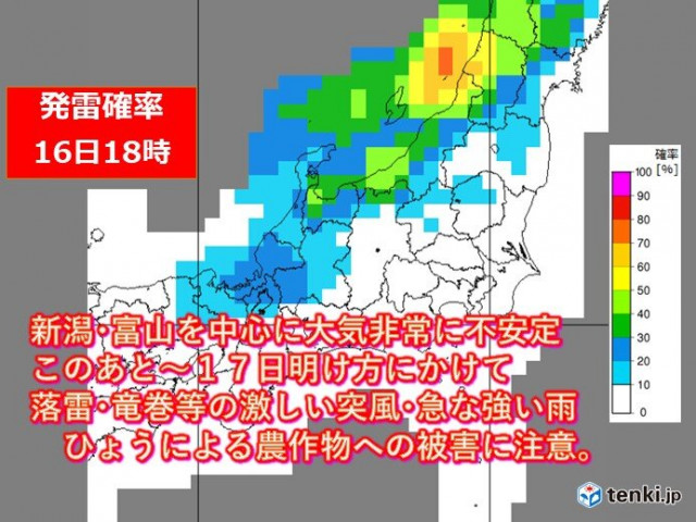 真っ赤な 花咲ガニ の季節 根室 釧路だけで獲れる 幻のカニ Tenki Jp 北海道の主に根室半島付近で獲れる花咲ガニ ｄメニューニュース Nttドコモ