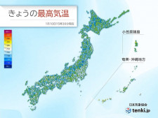 グロテスク？かわいい？個性あふれる外来植物たち【盛夏の章】