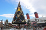 東京ディズニーシーでクリスマスフォトを撮影しよう！4年ぶりの巨大ツリーなど注目スポットを紹介