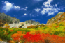 【9月〜10月見頃】早めの紅葉を楽しめるのはココ！紅葉スポット4選＜北海道・山形・長野＞