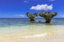 沖縄 那覇の体験・観光スポット12選！ビーチはもちろん自然や文化も満喫旅