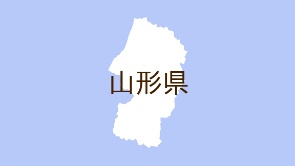 数量限定】 山形県総合学術調査会 山形県庄内田川地方、赤川左岸